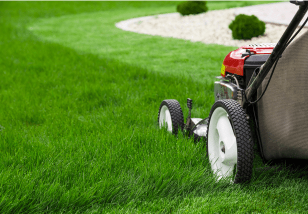 2 1599223501 Outdoors Lawn Mowing