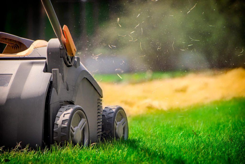 Lawn Aeration iStock 1011974874 scaled 1