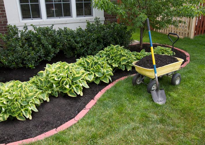 mulch 1